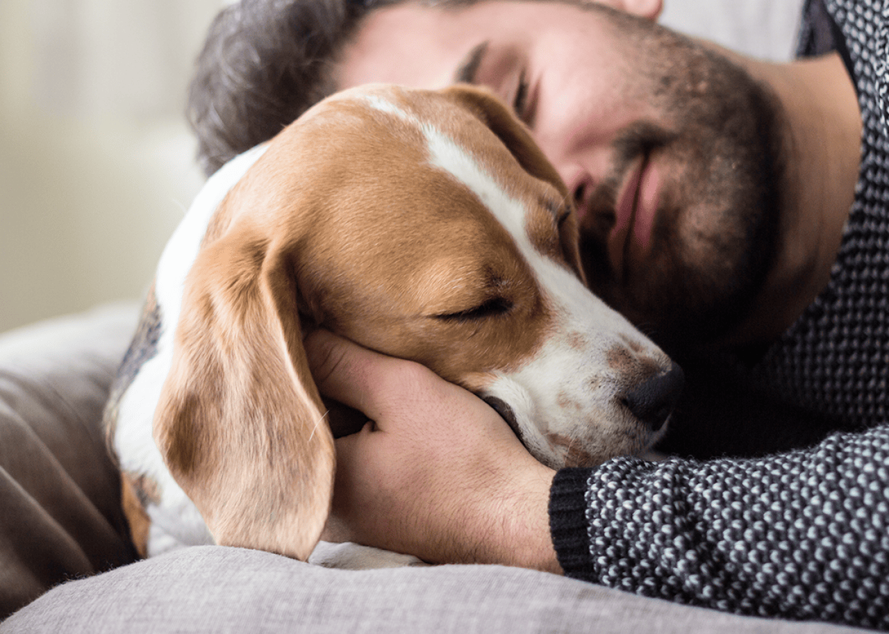 The power of pets against loneliness