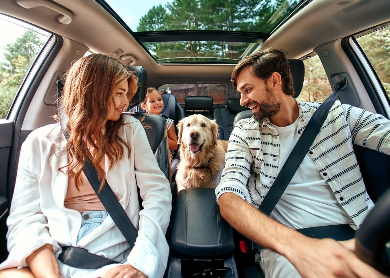 The do’s and don’ts of taking pets on the road